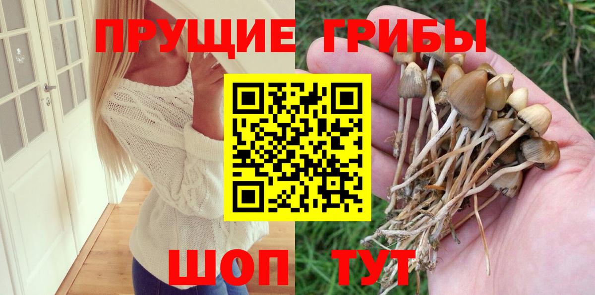 Галлюциногенные грибы Cubensis  Вход с VPN  Свободный  Галлюциногенные грибы мухоморы 